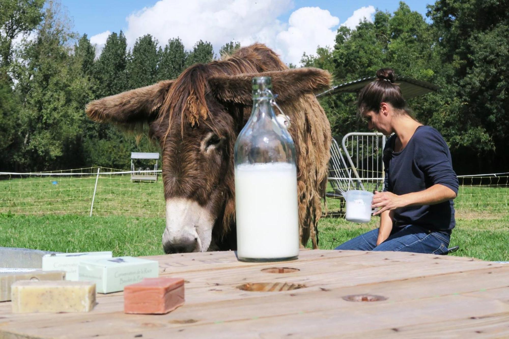 La Ferme Du Marais Poitevin - Roulotte Hotell Benet Eksteriør bilde