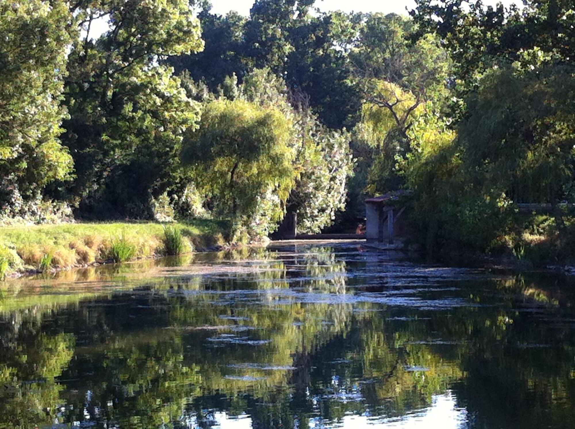 La Ferme Du Marais Poitevin - Roulotte Hotell Benet Eksteriør bilde